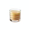 Evviva Sciences Lab Petri Dishes PDA Plates-5