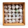 Lab-Grade Petri Dishes by Myco Labs-1