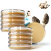 Evviva Sciences Lab Petri Dishes PDA Plates-0
