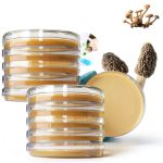 Evviva Sciences Lab Petri Dishes PDA Plates-0