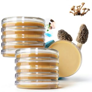 Evviva Sciences Lab Petri Dishes PDA Plates-0