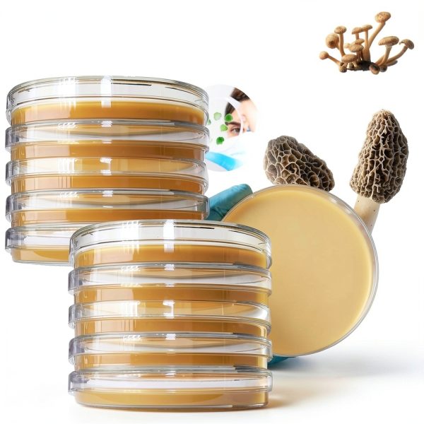 Evviva Sciences Lab Petri Dishes PDA Plates-0